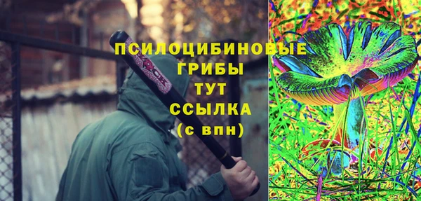 мескалин Бородино