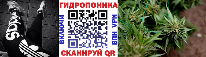 Конопля THC 21%  Новосибирск 